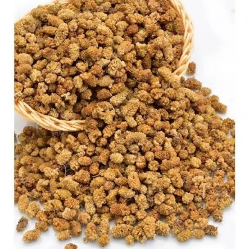 Mapa Dut Kurusu İlaçsız 200 Gr için ayrıntıları göster Mapa Dut Kurusu İlaçsız 200 Gr resmi