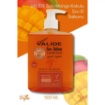 Valide Sıvı Sabun Sweet Peaches 500 Ml resmi