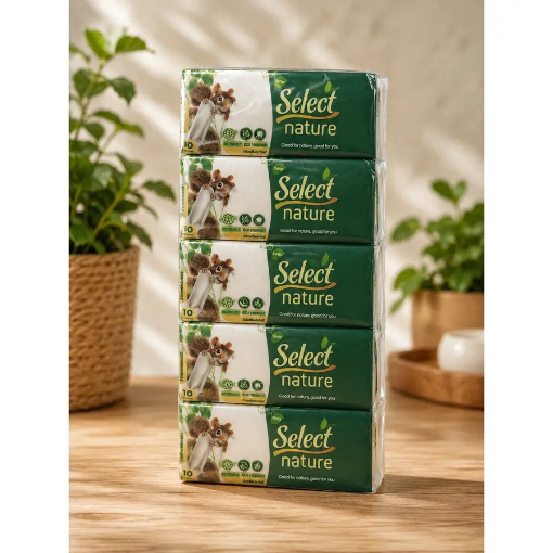 Select Nature Cep Mendili 10 Yaprak (10'lu Paket) resmi